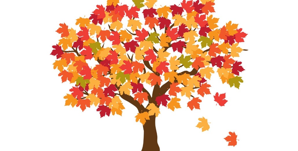 Fall Maple Tree