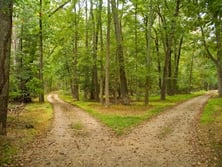 Two paths