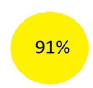 91