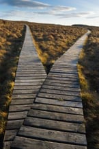 two path picture
