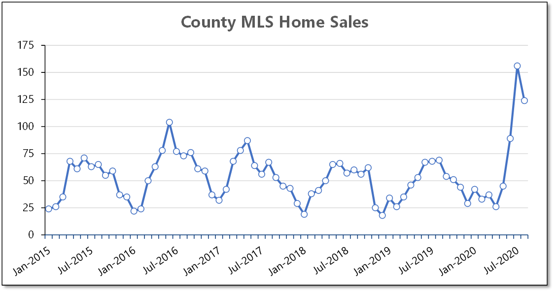 Monthly-Sales-All-Types-Thru-2020-08