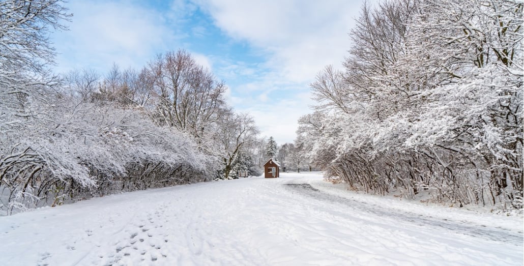winter-scenic-photograph