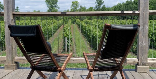 chairs-overlooking-vineyard-picture