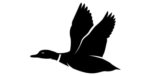 duck-fly-silhouette