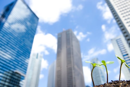 Toronto's Housing Market in April: Still Stuck, But Are Green Shoots Emerging?