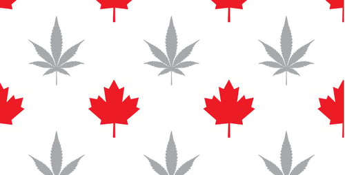 maple-marijuana-pattern