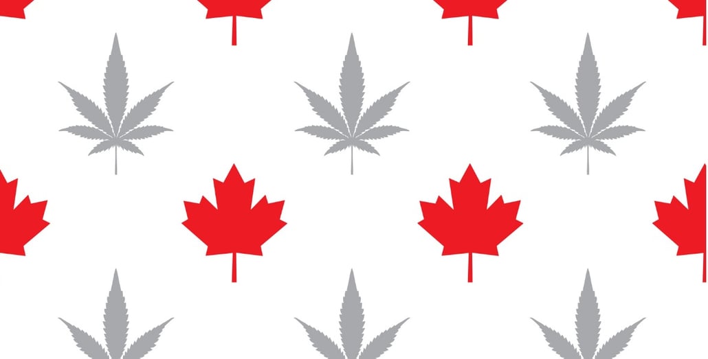maple-marijuana-pattern