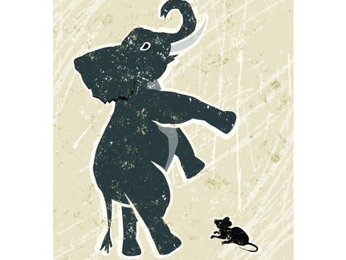 scared-elephant-and-mouse