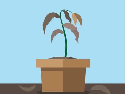 withered-plant-vector-id925475600