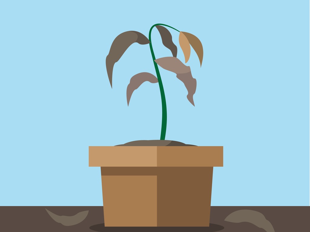withered-plant-vector-id925475600