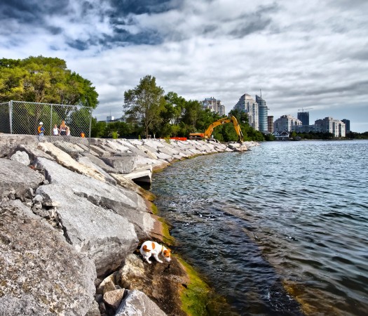 Mimico waterfront