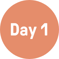 day-1 day-1