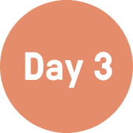 day-3