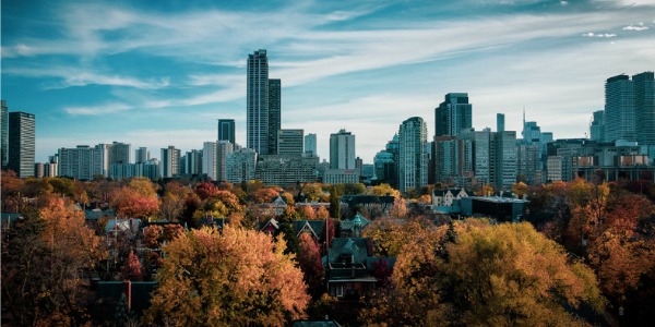 Move Smartly Report: November 2023