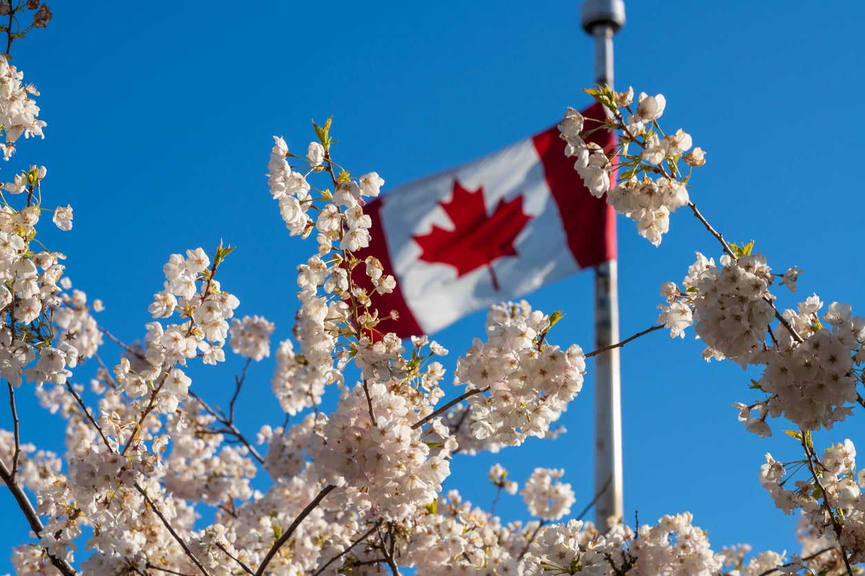 Canadian Employment Springs Higher in May